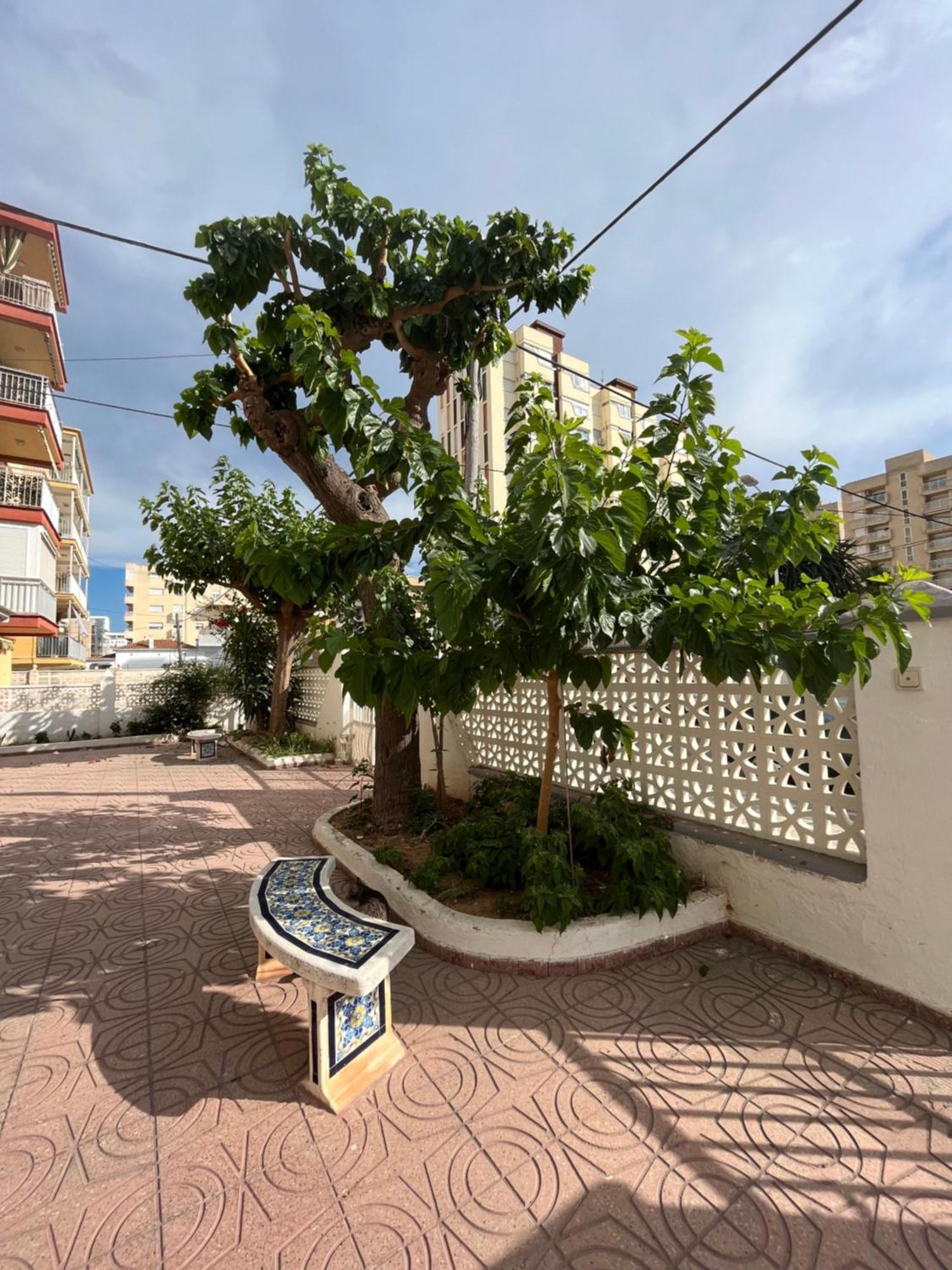 Apartament Rincon De Maria- Segunda Linea De Playa-Ganador Traveller Awards 2025 Playa de Gandia Zewnętrze zdjęcie